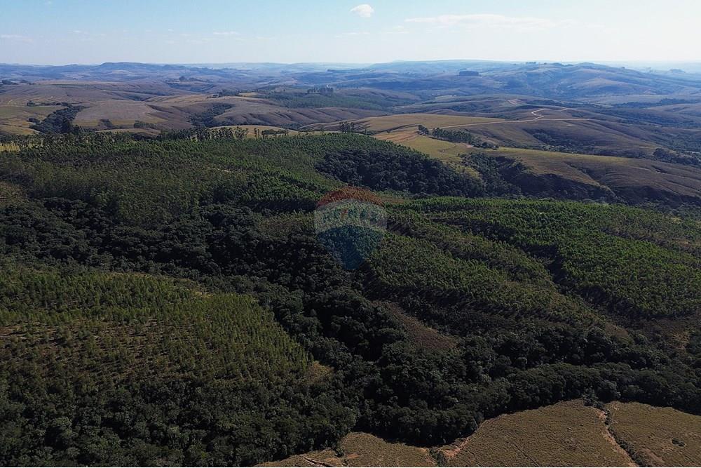 Chácara / Sítio / Fazenda - Venda - Araxá , Minas Gerais - DJI_0320.JPG - 870431045-49
