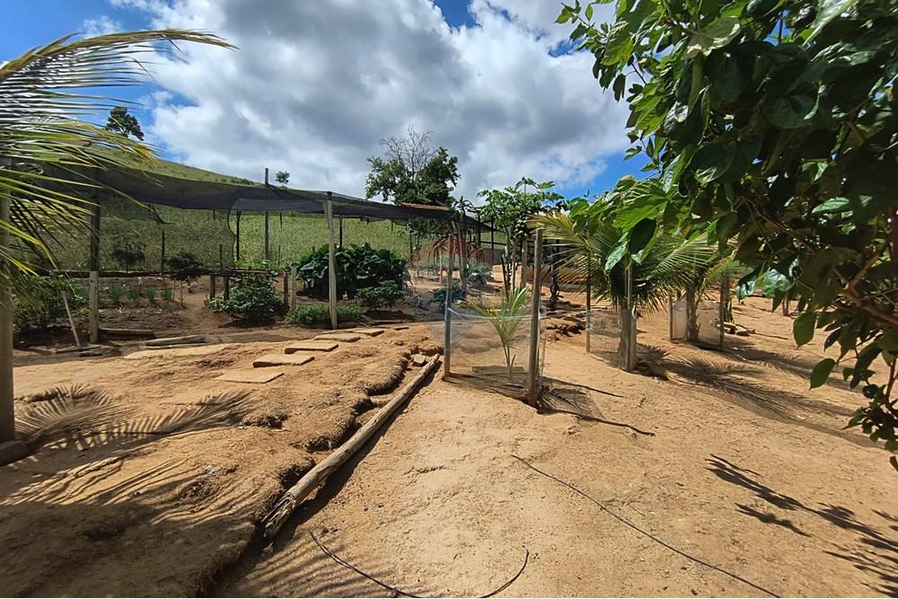 Chácara / Sítio / Fazenda - Venda - Governador Valadares , Minas Gerais - IMG_20250329_110239620_HDR.jpg - 870671027-7