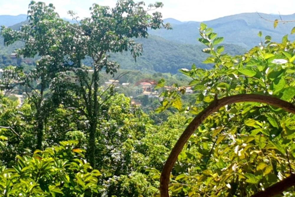 Terreno - Venda - Nova Lima , Minas Gerais - foto Lote plantas frutíferas.jpg - 870241097-28
