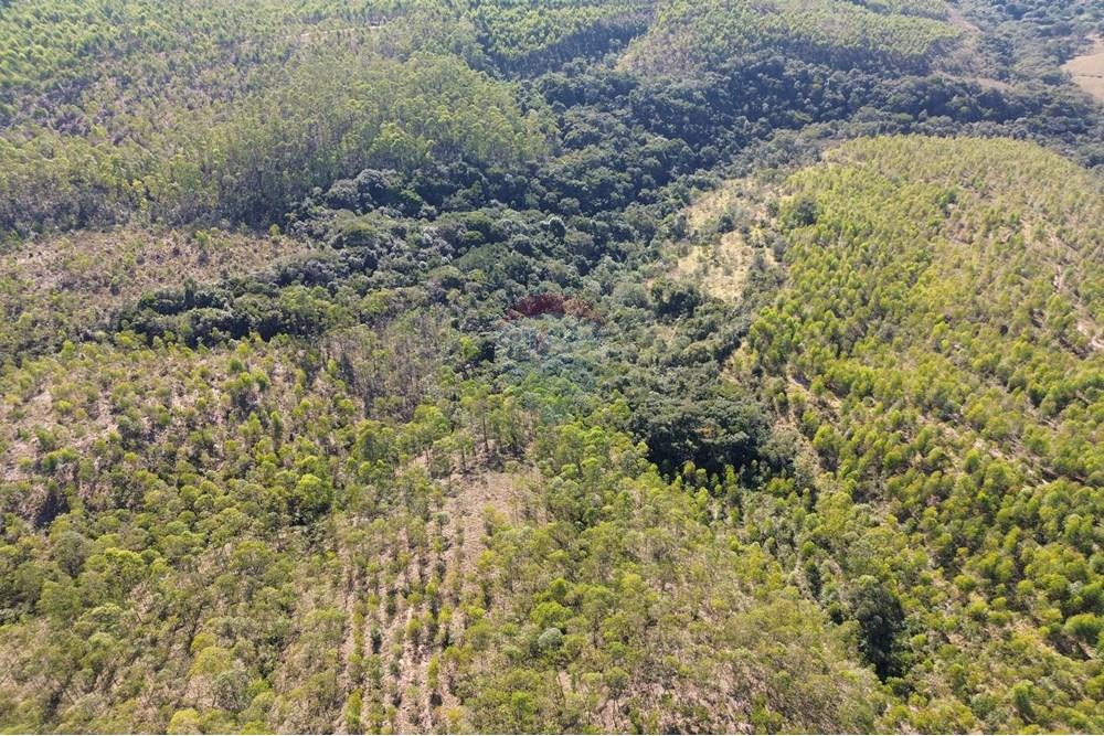 Chácara / Sítio / Fazenda - Venda - Araxá , Minas Gerais - 09.JPG - 870431045-49