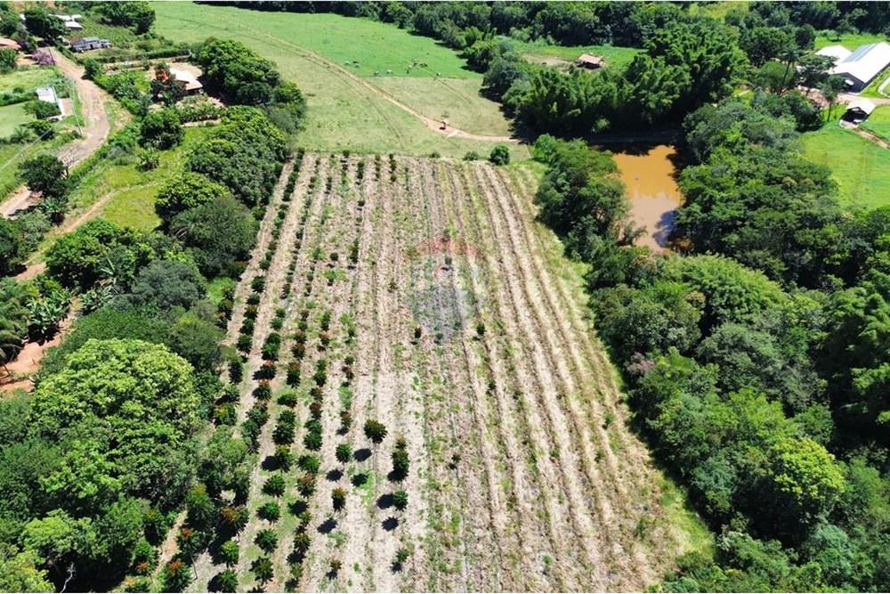 Chácara / Sítio / Fazenda - Venda - Araxá , Minas Gerais - IMG-20250415-WA0189.jpg - 870431045-48