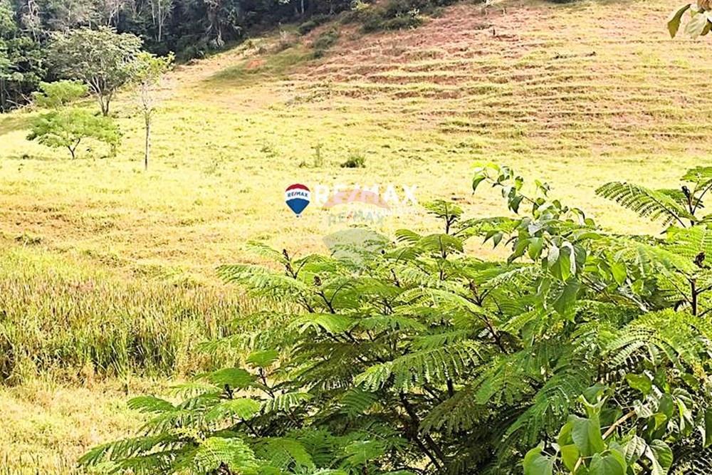 Chácara / Sítio / Fazenda - Venda - Ipanema , Minas Gerais - 8_IMG_20240515_093308_watermark_dom._23062024_100625.jpg - 870451001-122