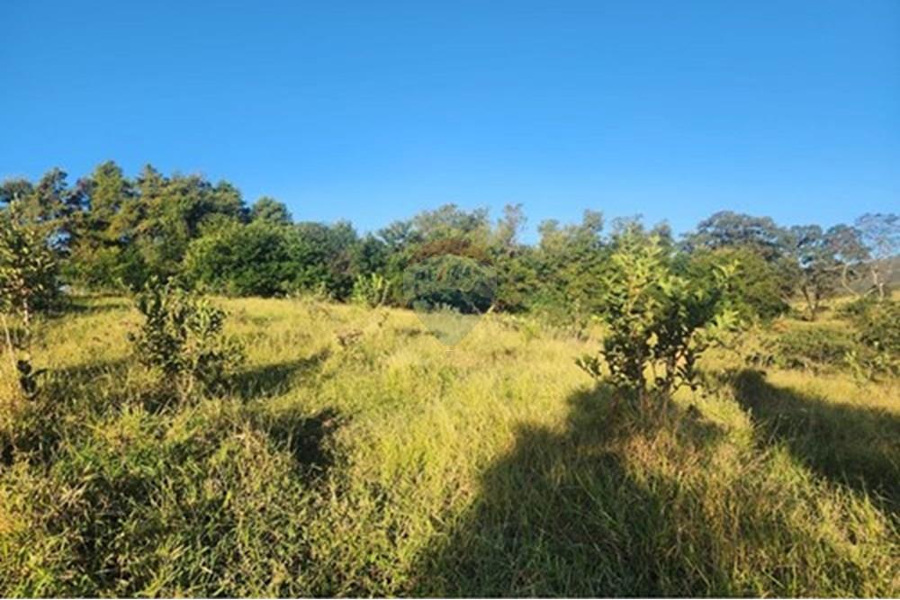 Chácara / Sítio / Fazenda - Venda - Ibirité , Minas Gerais - L_c94e8950-e59e-4a64-a641-4ffbcaf9b565.jpg - 870241024-77