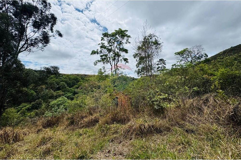 Chácara / Sítio / Fazenda - Venda - Caeté , Minas Gerais - IMG-20251030-WA0326.jpg - 870421116-90