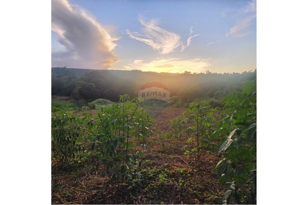 Terreno - Venda - Matozinhos , Minas Gerais - 4748faaa-c3fb-42d0-abd8-31167a18e6ea.jpeg - 870241024-58