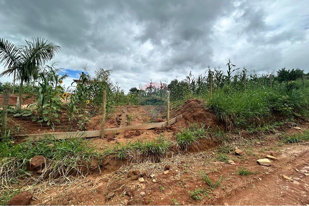 Chácara / Sítio / Fazenda - Venda - Governador Valadares , Minas Gerais - IMG_7916.JPEG - 870671017-71