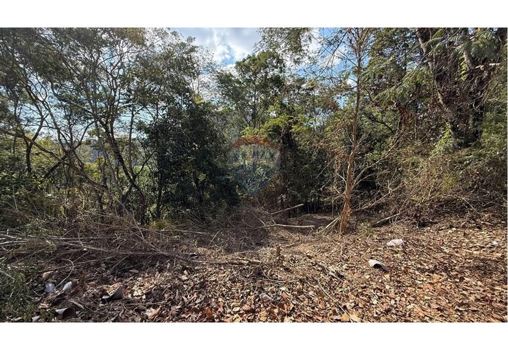 Terreno - Venda - Nova Lima , Minas Gerais - IMG_1424.jpg - 870351059-18