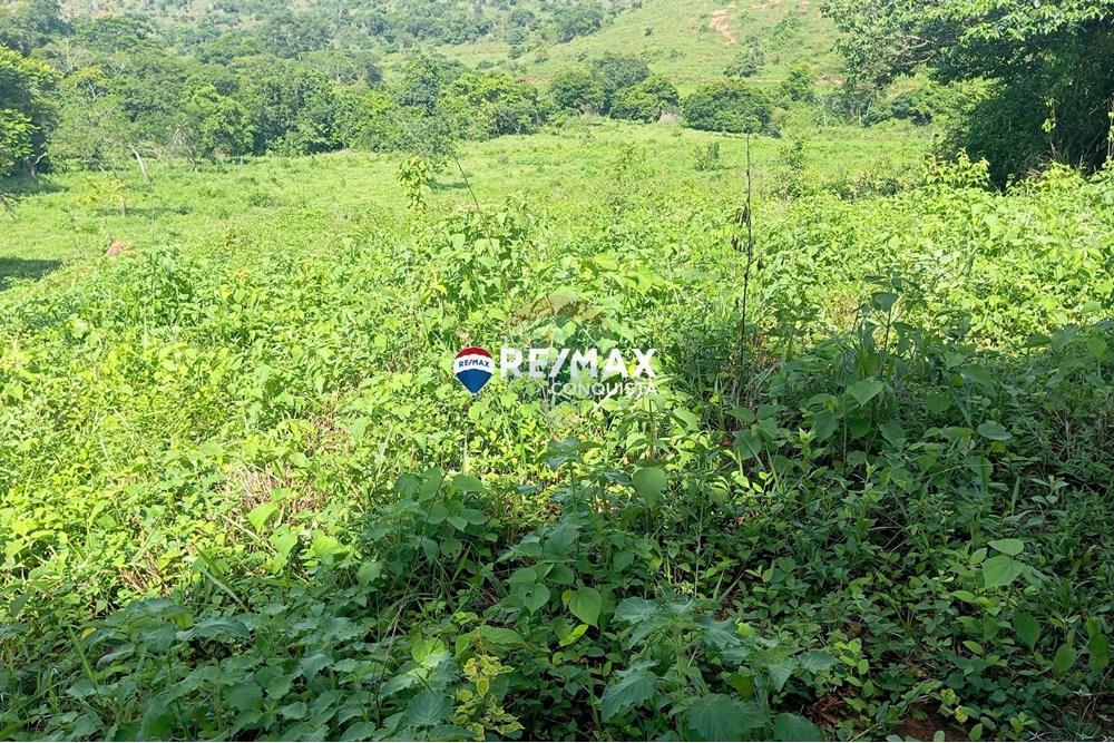 Chácara / Sítio / Fazenda - Venda - Pocrane , Minas Gerais - 4_IMG_20241203_085118_watermark_sex._13122024_135834.jpg - 870451001-114