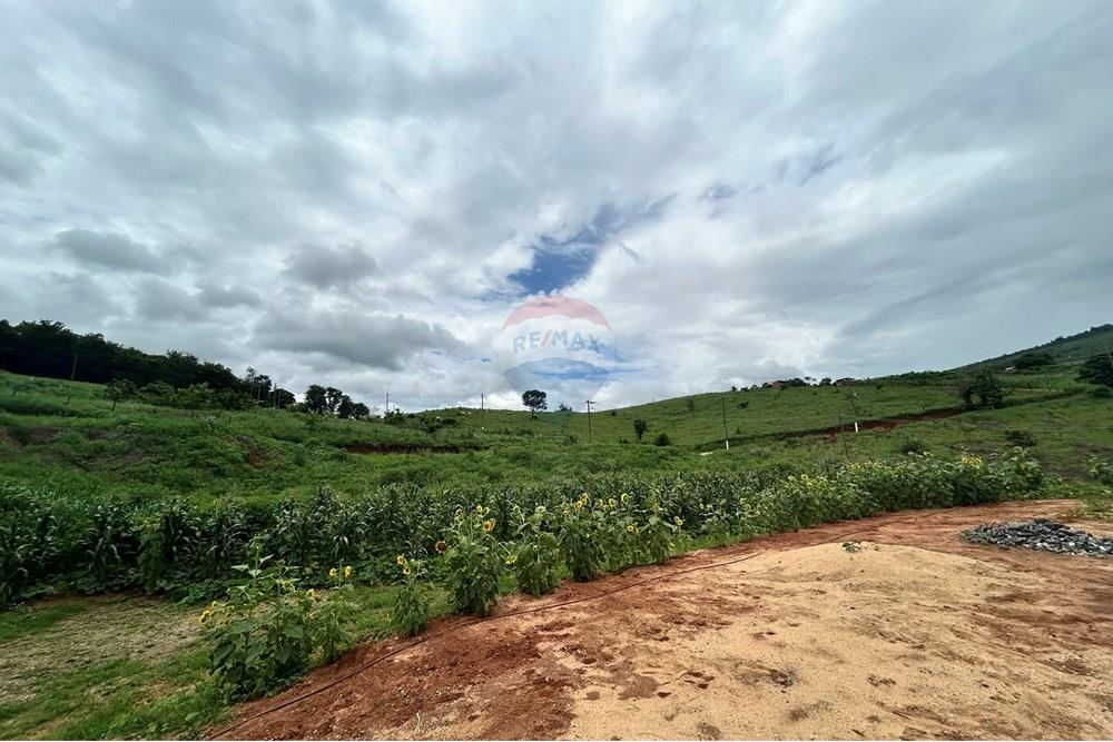 Chácara / Sítio / Fazenda - Venda - Governador Valadares , Minas Gerais - IMG_7897.JPEG - 870671017-71