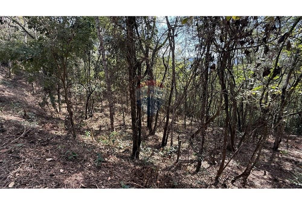 Terreno - Venda - Nova Lima , Minas Gerais - IMG_1417.jpg - 870351059-18