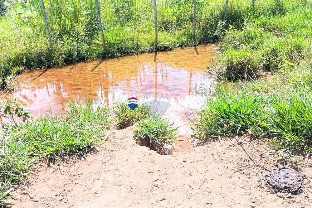 Chácara / Sítio / Fazenda - Venda - Conceição de Ipanema , Minas Gerais - 8_image_8_watermark_sáb._12042025_141558.jpg - 870451013-61