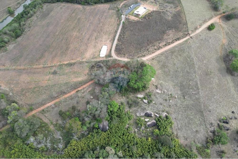 Chácara / Sítio / Fazenda - Venda - Caldas , Minas Gerais - IMG-20251031-WA0019.jpg - 870361060-14