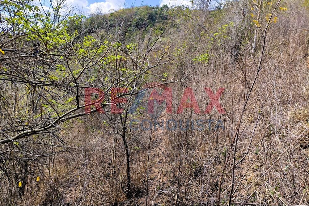 Chácara / Sítio / Fazenda - Venda - Ipanema , Minas Gerais - 6_image_6_watermark_seg._15092025_150604.jpg - 870451013-72