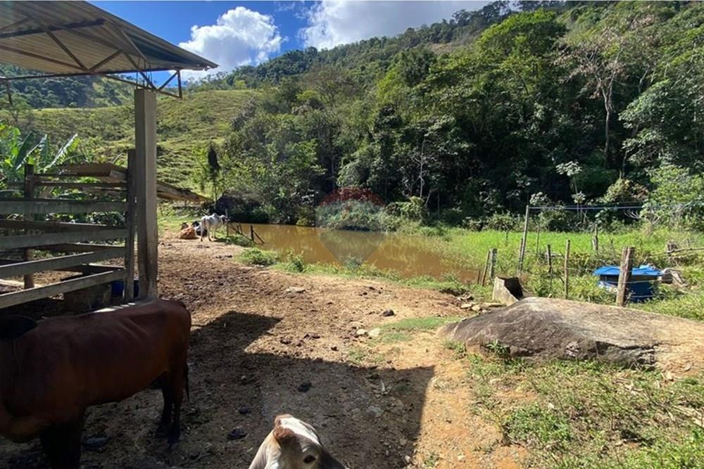 Terreno - Venda - Ipatinga , Minas Gerais - WhatsApp Image 2025-10-09 at 17.37.01 (1).jpeg - 870711007-44