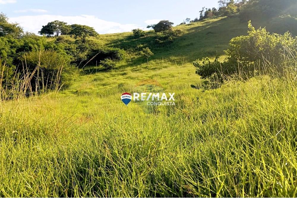 Chácara / Sítio / Fazenda - Venda - Pocrane , Minas Gerais - WhatsApp Image 2025-04-08 at 09.40.29(1).jpeg - 870451001-124