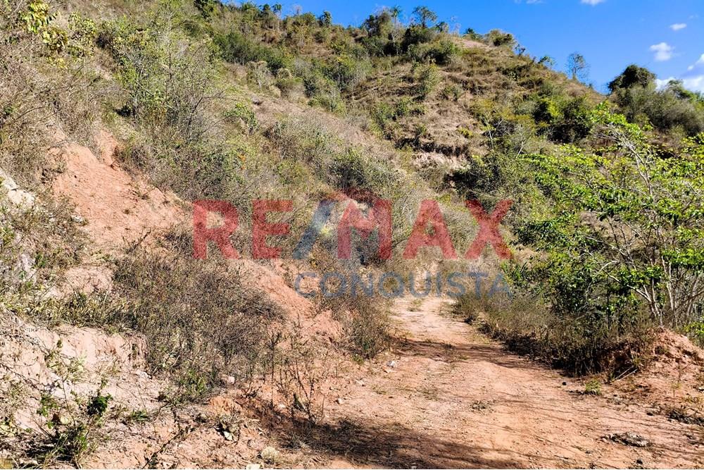 Chácara / Sítio / Fazenda - Venda - Ipanema , Minas Gerais - 3_image_3_watermark_seg._15092025_150520.jpg - 870451013-72