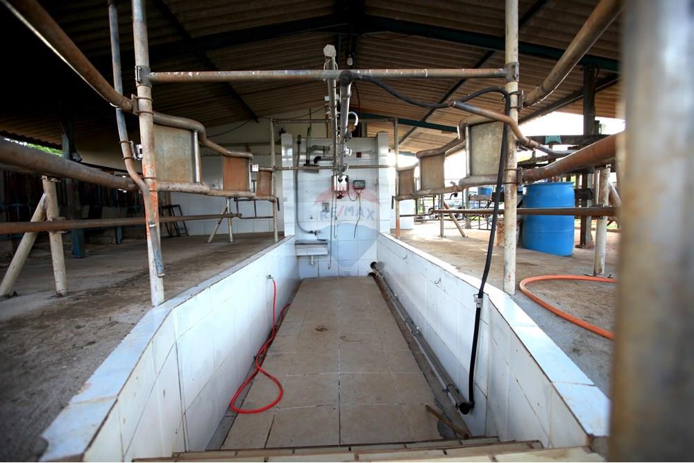 Chácara / Sítio / Fazenda - Venda - Araxá , Minas Gerais - IMG_2447.JPG - 870431039-25