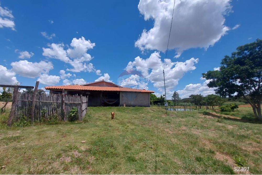 Chácara / Sítio / Fazenda - Venda - Perdizes , Minas Gerais - WhatsApp Image 2025-02-25 at 19.55.15.jpeg - 870431028-37