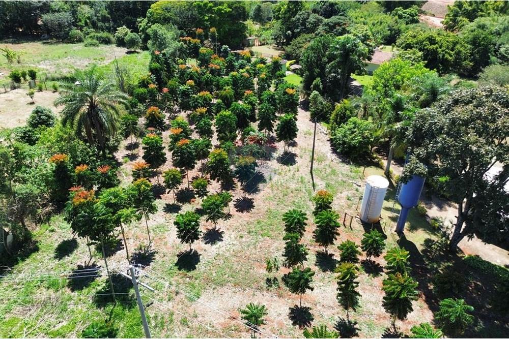 Chácara / Sítio / Fazenda - Venda - Araxá , Minas Gerais - IMG-20250415-WA0196.jpg - 870431045-48