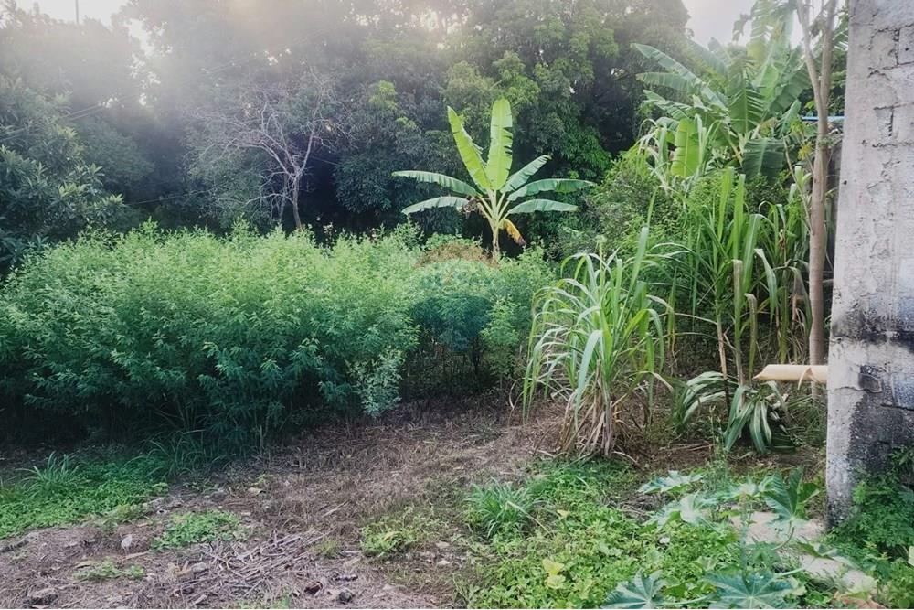 Terreno - Venda - Matozinhos , Minas Gerais - lote mtz01 (8).jpeg - 870241024-58