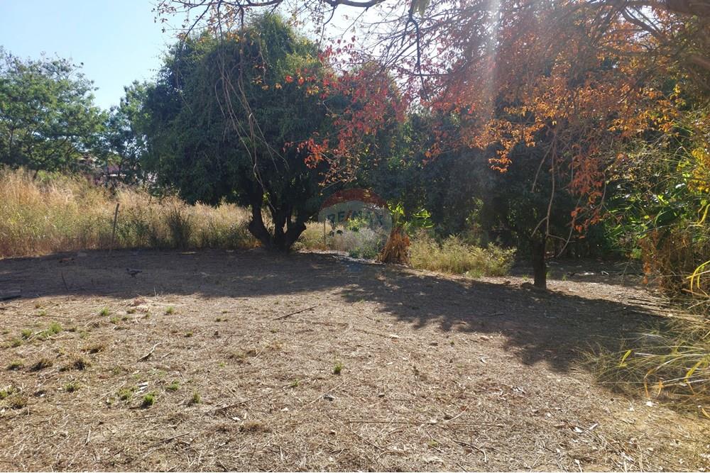 Terreno - Venda - Contagem , Minas Gerais - 20250909_145337.jpg - 870241162-7