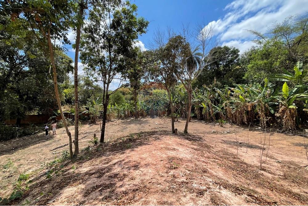 Casa - Venda - Belo Horizonte , Minas Gerais - IMG_1498.jpg - 870411117-17