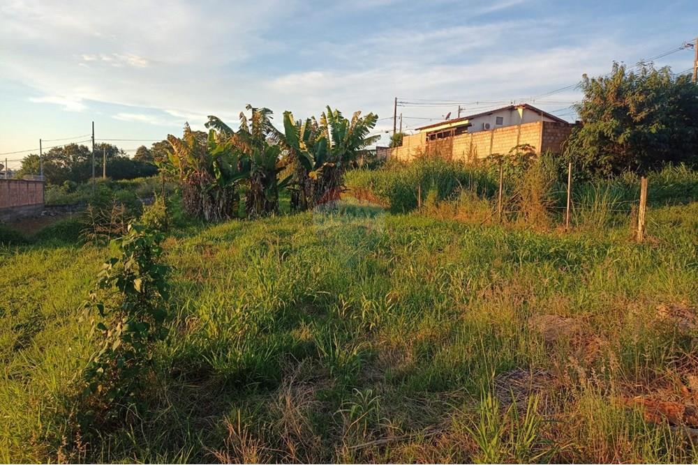 Terreno - Venda - Uberaba , Minas Gerais - 01.jpeg - 870291025-93