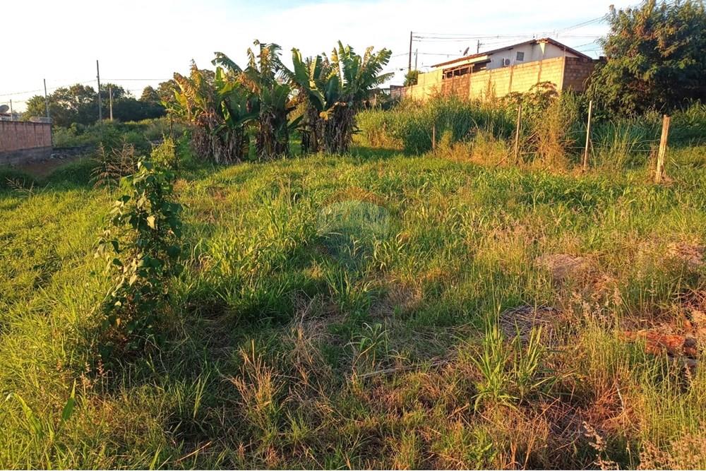 Terreno - Venda - Uberaba , Minas Gerais - 05.jpeg - 870291025-93