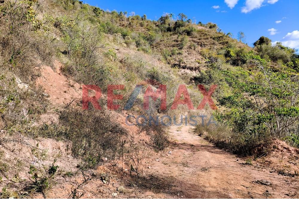 Chácara / Sítio / Fazenda - Venda - Ipanema , Minas Gerais - 7_image_7_watermark_seg._15092025_150522.jpg - 870451013-72