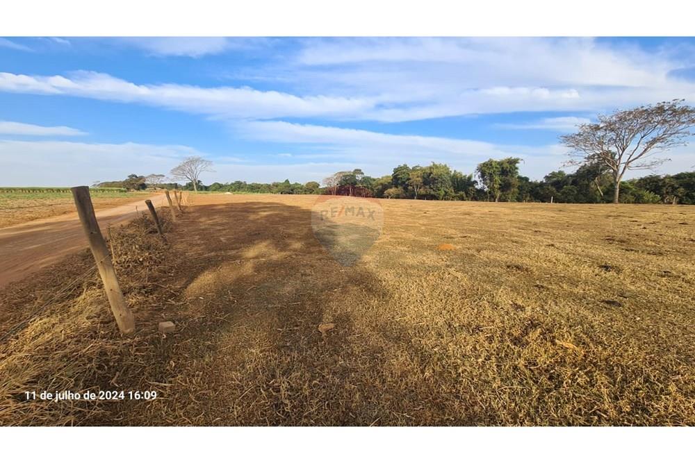 Chácara / Sítio / Fazenda - Venda - Uberaba , Minas Gerais -  (39).jpeg - 870291025-115