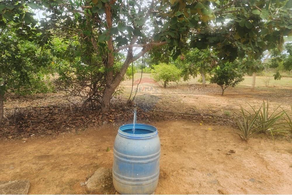 Chácara / Sítio / Fazenda - Venda - Curvelo , Minas Gerais - 7af7d222-2bb0-4fa1-b3e3-039e621ecc53.jpeg - 870241024-65