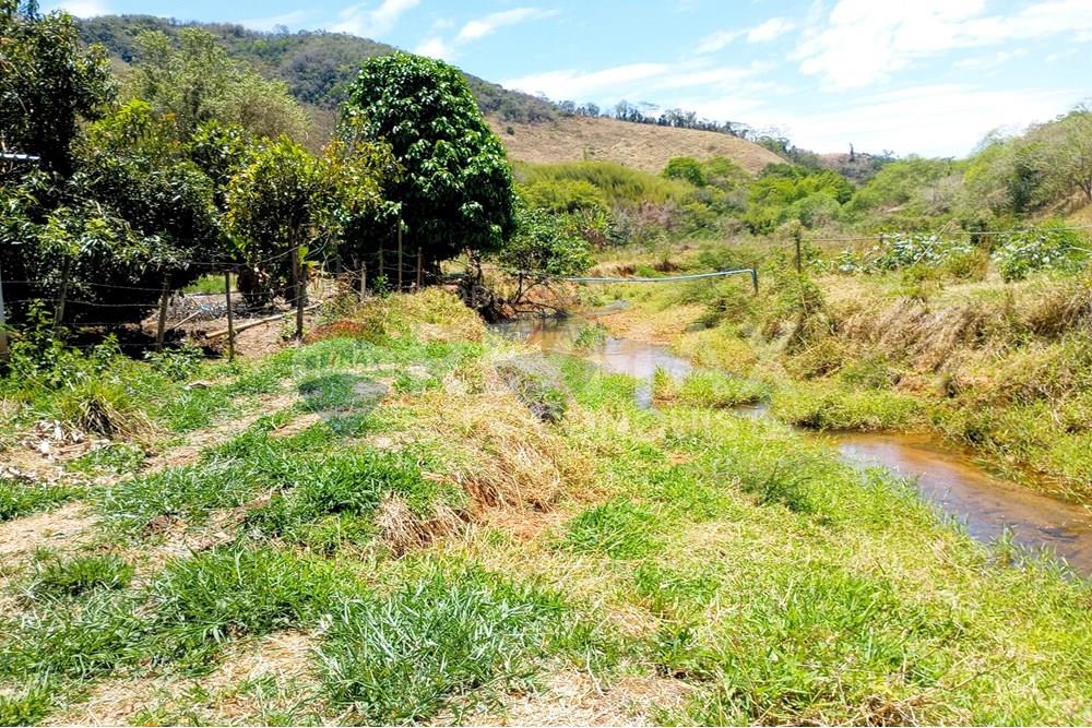 Chácara / Sítio / Fazenda - Venda - Ipanema , Minas Gerais - 2_image_2_watermark_qua._29102025_111909.jpg - 870451004-107