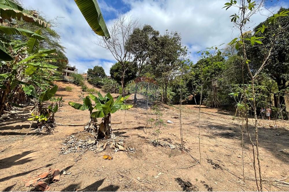 Casa - Venda - Belo Horizonte , Minas Gerais - IMG_1497.jpg - 870411117-17