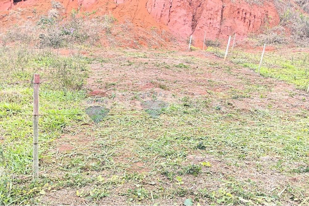 Terreno - Venda - Ipanema , Minas Gerais - 0_image_0_watermark_seg._03112025_103402.jpg - 870451013-77