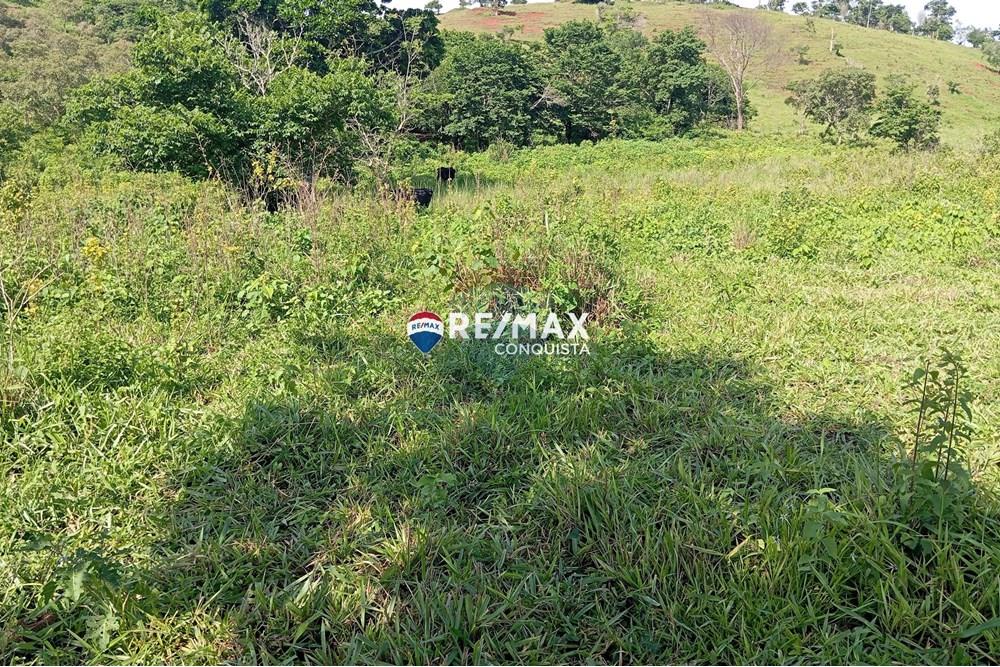 Chácara / Sítio / Fazenda - Venda - Pocrane , Minas Gerais - 0_IMG_20241203_081942_watermark_sex._13122024_135041.jpg - 870451001-114