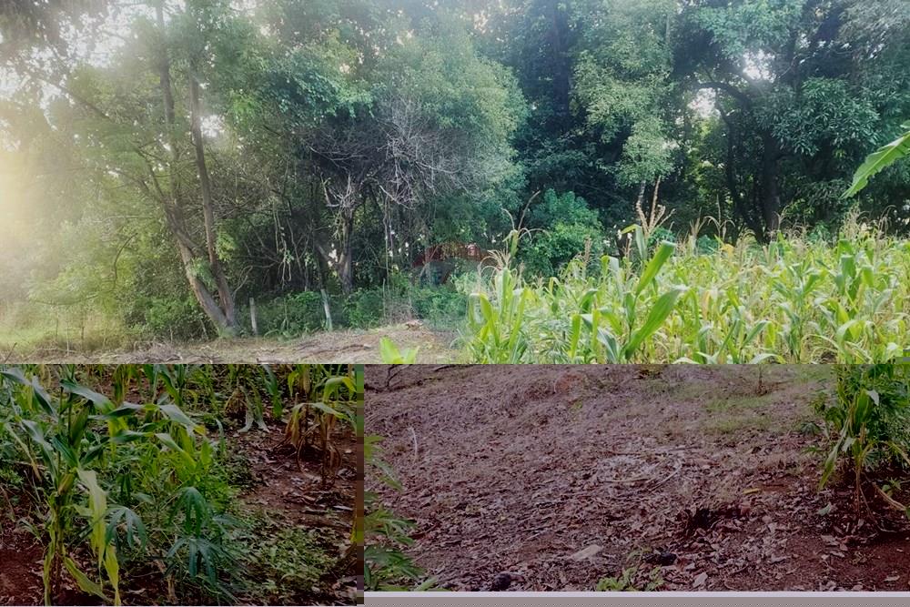 Terreno - Venda - Matozinhos , Minas Gerais - lote mtz01 (7).jpeg - 870241024-58