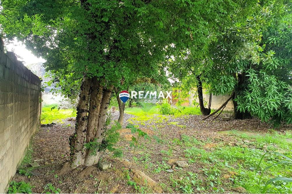 Terreno - Venda - Ipanema , Minas Gerais - 3_20241108_150256_watermark_sáb._09112024_094546.jpg - 870451001-107