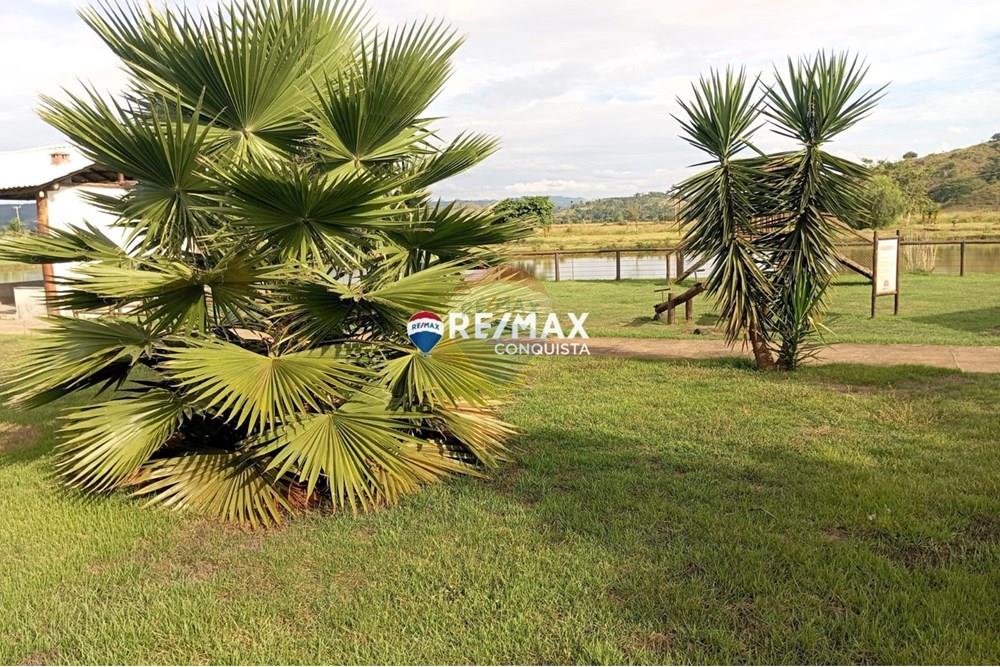 Terreno - Venda - Ipanema , Minas Gerais - WhatsApp Image 2025-04-12 at 14.48.39(1).jpeg - 870451001-125