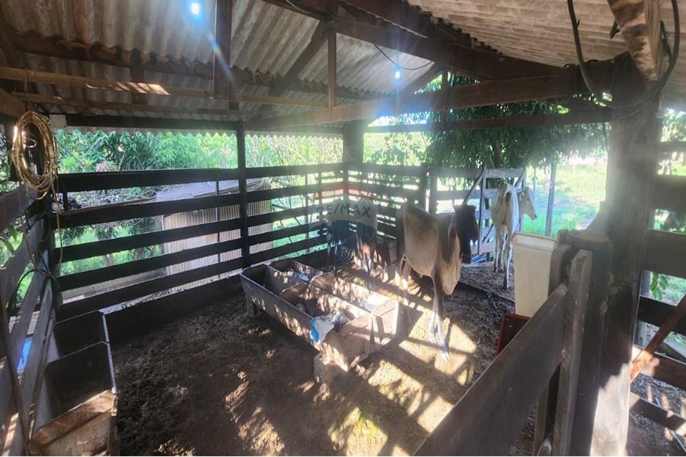 Chácara / Sítio / Fazenda - Venda - Uberaba , Minas Gerais - 13 Sítio Venda 690 mil com 20.300m² em Rio Claro, próximo a Uberaba na Remax 870291025-102.jpg - 870291025-102