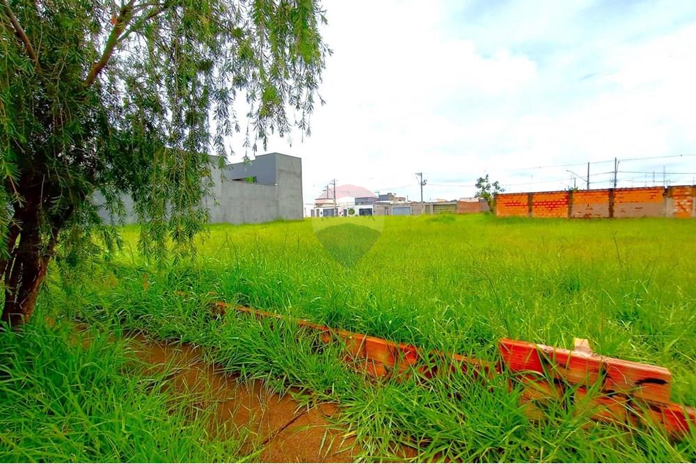 Terreno - Venda - Uberaba , Minas Gerais - 1000188575.jpg - 870291025-76