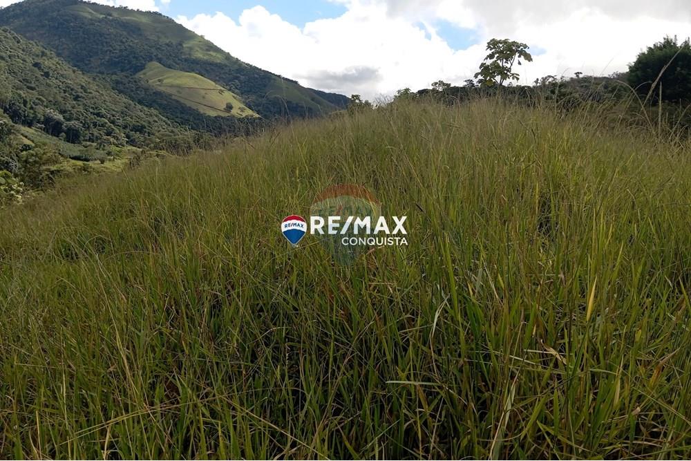 Chácara / Sítio / Fazenda - Venda - Conceição de Ipanema , Minas Gerais - 6_image_6_watermark_sáb._12042025_141818.jpg - 870451013-61