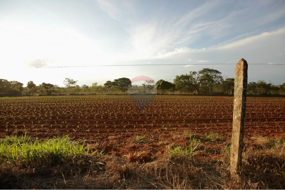 Chácara / Sítio / Fazenda - Venda - Araxá , Minas Gerais - IMG_2493.JPG - 870431039-25