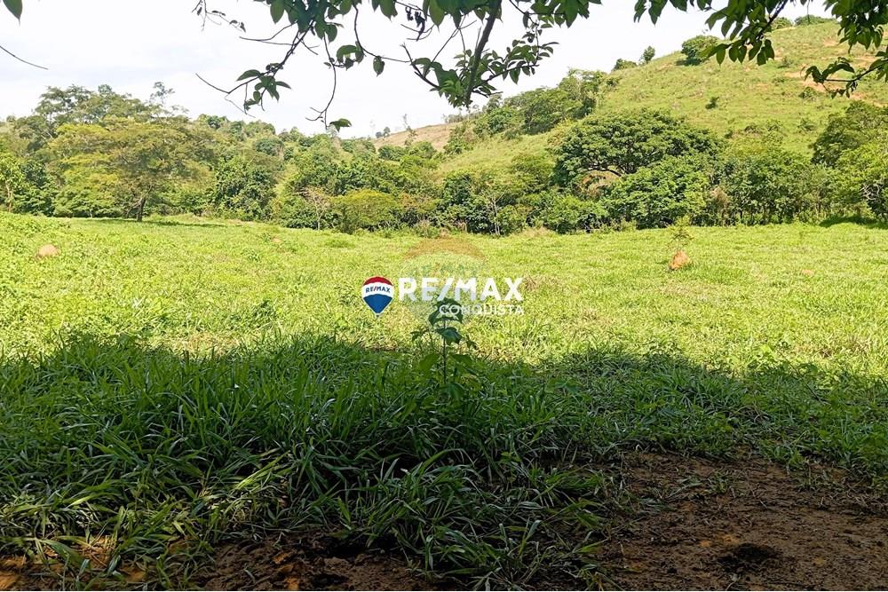 Chácara / Sítio / Fazenda - Venda - Pocrane , Minas Gerais - 3_IMG_20241203_090149_watermark_sex._13122024_135418.jpg - 870451001-114