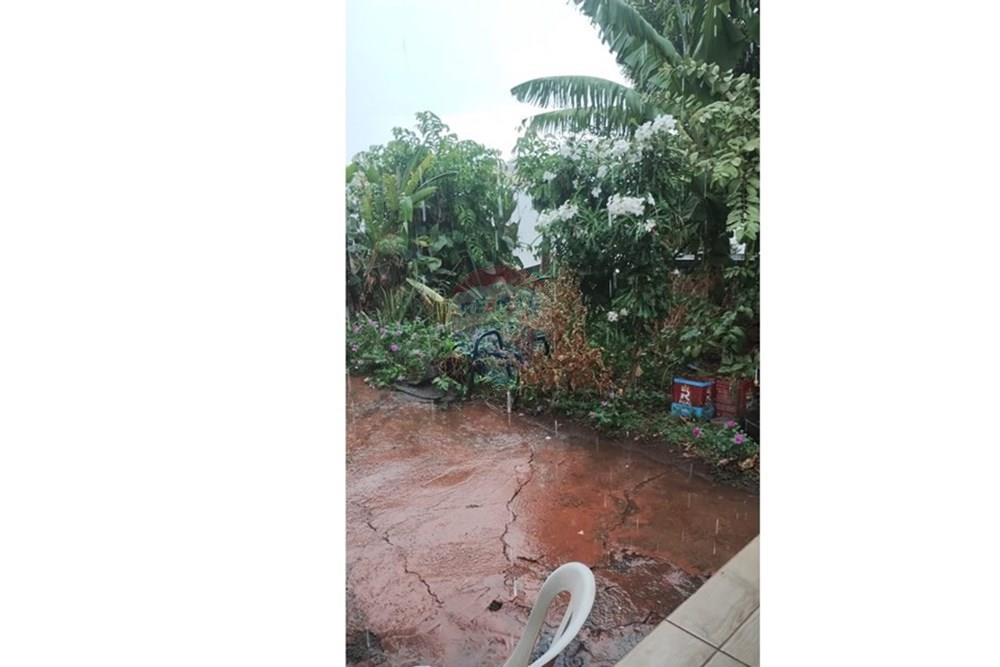 Ilha Privada - Venda - Conceição das Alagoas , Minas Gerais - .11.jpeg - 870291037-18