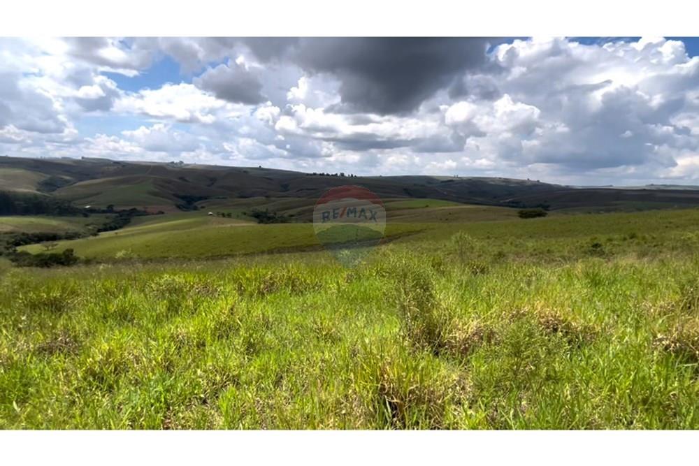 Fazenda - Venda - São Roque de Minas , Minas Gerais - Gleba 1 A.jpg - 870431039-43