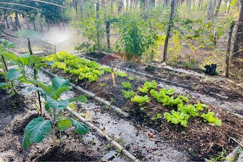 Slider Image Thumbnail