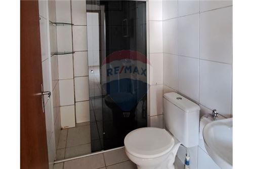 Apartamento - Alugar - Samambaia , Distrito Federal - 11 - 880391011-986