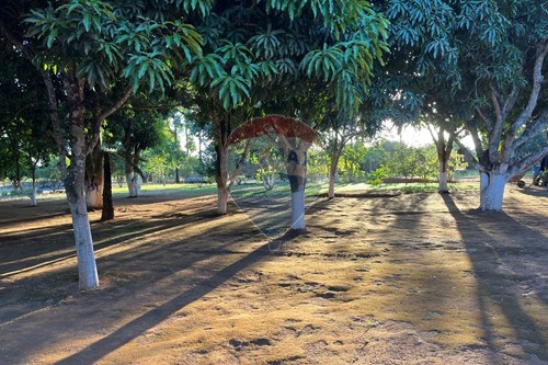 Slider Image Thumbnail