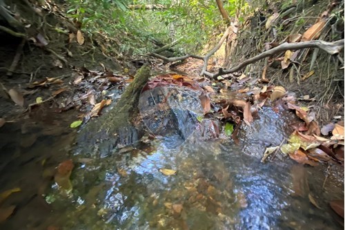 Slider Image Thumbnail