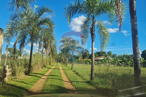 Venda-Chácara / Sítio / Fazenda-Zona Rural , Brasília , Distrito Federal , 71693400-880321021-71